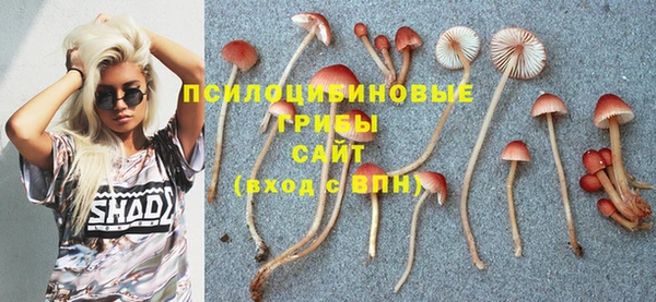 гашик Бронницы