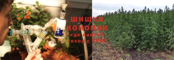 гашик Бронницы