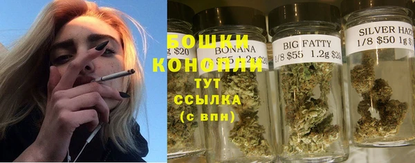 гашик Бронницы