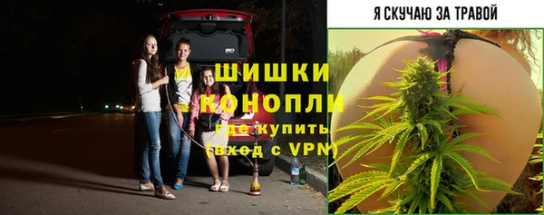 гашик Бронницы
