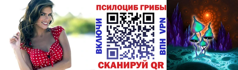 Галлюциногенные грибы мицелий  Дигора 